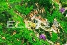 <b>军事沙盘模型，战略指挥官神器！</b>
